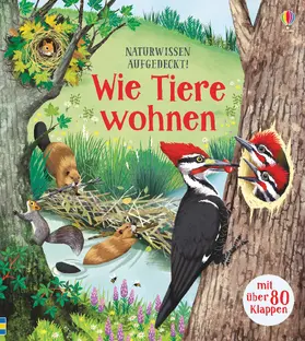 Bone |  Naturwissen aufgedeckt! Wie Tiere wohnen | Buch |  Sack Fachmedien