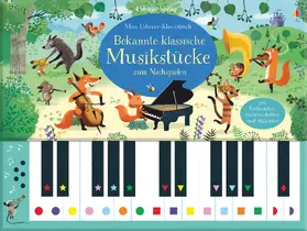 Taplin |  Mein Usborne-Klavierbuch: Bekannte klassische Musikstücke zum Nachspielen | Buch |  Sack Fachmedien