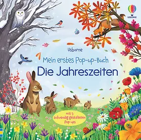 Milbourne |  Mein erstes Pop-up-Buch: Die Jahreszeiten | Buch |  Sack Fachmedien