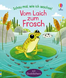 Sims |  Schau mal, wie ich wachse! Vom Laich zum Frosch | Buch |  Sack Fachmedien
