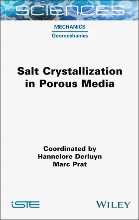 Derluyn / Prat |  Salt Crystallization in Porous Media | Buch |  Sack Fachmedien