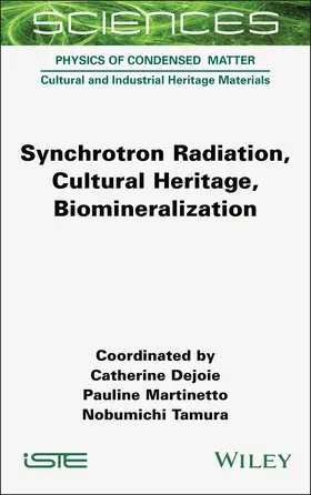 Dejoie / Martinetto / Tamura |  Synchrotron Radiation, Cultural Heritage, Biomineralization | Buch |  Sack Fachmedien