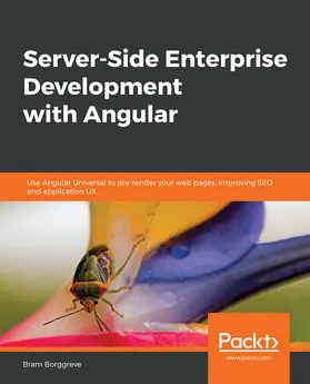 Borggreve |  Server-Side Enterprise Development with Angular | eBook | Sack Fachmedien