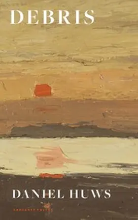 Huws |  Debris | eBook | Sack Fachmedien