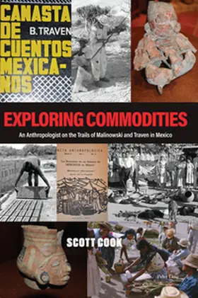 Cook |  Exploring Commodities | Buch |  Sack Fachmedien