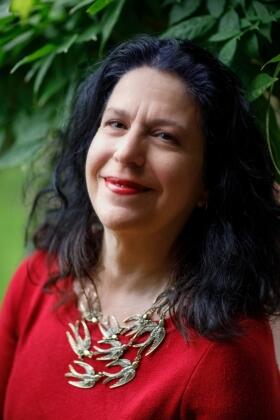 Warren |  The Underhistory | Buch |  Sack Fachmedien