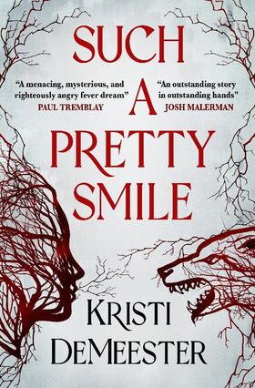 Demeester |  Such a Pretty Smile | Buch |  Sack Fachmedien