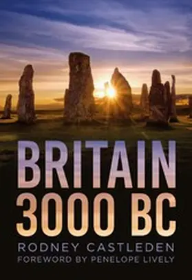 Castleden |  Britain 3000 BC | eBook | Sack Fachmedien
