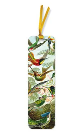 Flame Tree Publishing |  10er-Verpackungseinheit Lesezeichen: Ernst Haeckel, Kolibris | Sonstiges |  Sack Fachmedien