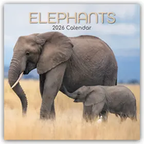 Gifted / The Gifted Stationery Co. Ltd |  Elephants - Elefanten 2026 - 16-Monatskalender | Sonstiges |  Sack Fachmedien