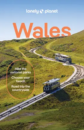 Pay / Jones / Walker |  Lonely Planet Wales | Buch |  Sack Fachmedien