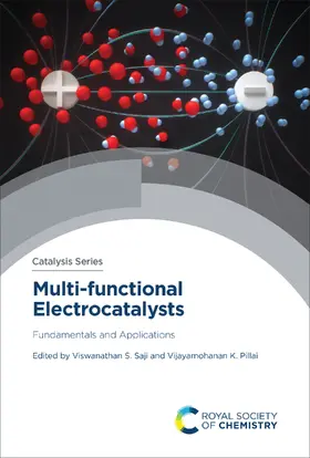 Saji / Pillai |  Multi-functional Electrocatalysts | eBook | Sack Fachmedien