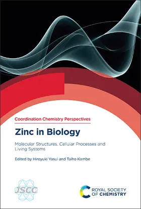 Yasui / Kambe |  Zinc in Biology | Buch |  Sack Fachmedien