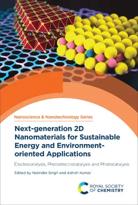 Singh / Kumar |  Next-generation 2D Nanomaterials for Sustainable Energy and Environment-oriented Applications | eBook | Sack Fachmedien