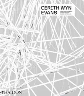 Daniel Birnbaum |  Cerith Wyn Evans | Buch |  Sack Fachmedien