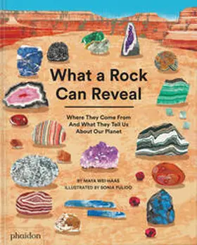 Wei-Haas / Pulido |  What a Rock Can Reveal | Buch |  Sack Fachmedien
