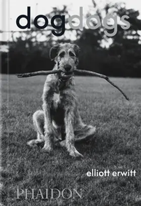  DogDogs | Buch |  Sack Fachmedien
