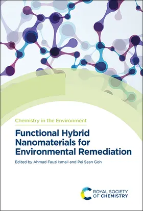 Ismail / Goh |  Functional Hybrid Nanomaterials for Environmental Remediation | eBook | Sack Fachmedien