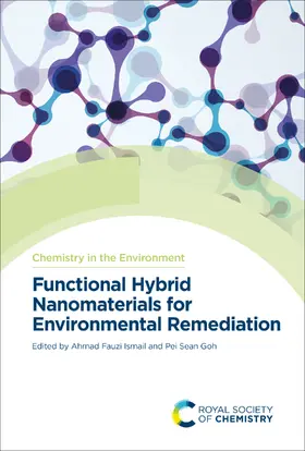 Ismail / Goh |  Functional Hybrid Nanomaterials for Environmental Remediation | eBook | Sack Fachmedien