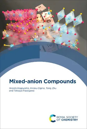 Kageyama / Ogino / Zhu |  Mixed-anion Compounds | eBook | Sack Fachmedien