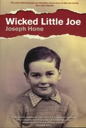 Hone |  Wicked Little Joe | eBook | Sack Fachmedien