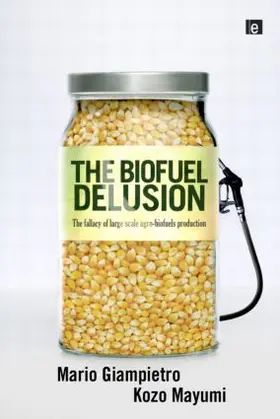 Giampietro / Mayumi | The Biofuel Delusion | Buch | 978-1-84407-681-9 | sack.de