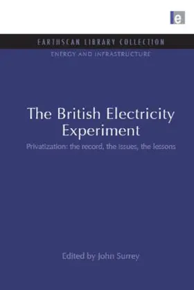 Surrey |  The British Electricity Experiment | Buch |  Sack Fachmedien