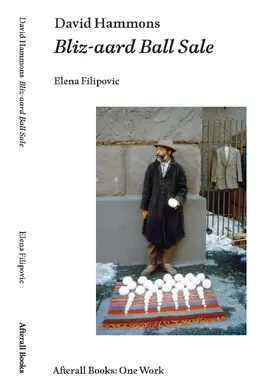 Filipovic |  David Hammons | Buch |  Sack Fachmedien