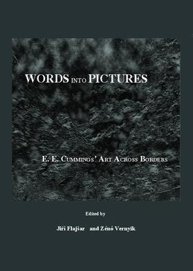Flajšar / Vernyik |  Words into Pictures | Buch |  Sack Fachmedien