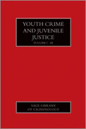 Goldson / Muncie |  Youth Crime and Juvenile Justice | Buch |  Sack Fachmedien