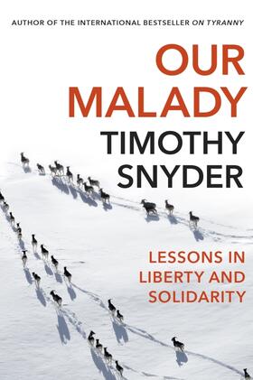Snyder | Our Malady | Buch | 978-1-84792-666-1 | www2.sack.de