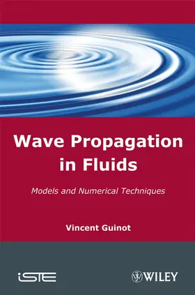 Guinot | Wave Propagation in Fluids | Buch | 978-1-84821-036-3 | www2.sack.de