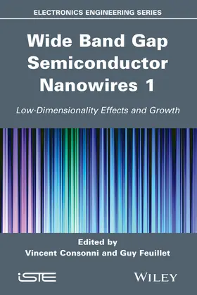 Consonni / Feuillet / Baptist |  Wide Band Gap Semiconductor Nanowires 1 | Buch |  Sack Fachmedien