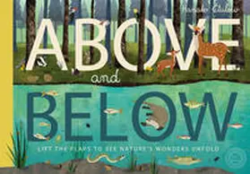 Hegarty |  Above and Below | Buch |  Sack Fachmedien