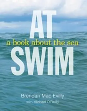 Evilly / O'Reilly |  At Swim | eBook | Sack Fachmedien