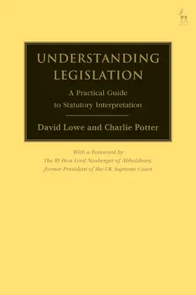 Lowe / Potter |  Understanding Legislation | Buch |  Sack Fachmedien