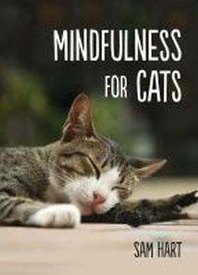 Hart |  MINDFULNESS FOR CATS | Buch |  Sack Fachmedien