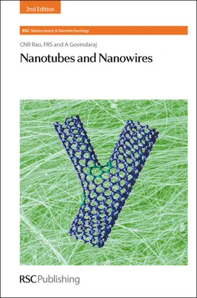 Rao / Govindaraj | Nanotubes and Nanowires | Buch | 978-1-84973-058-7 | sack.de