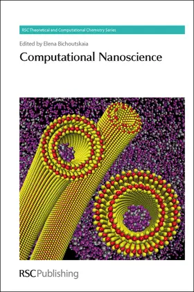 Hirst / Bichoutskaia / Jordan | Computational Nanoscience | Buch | 978-1-84973-133-1 | sack.de