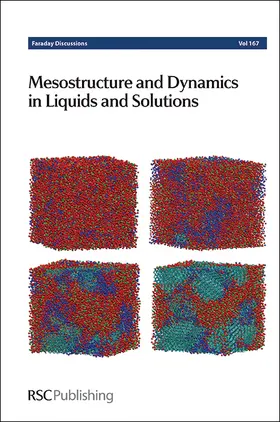  Mesostructure and Dynamics in Liquids and Solutions | Buch |  Sack Fachmedien