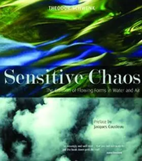 Schwenk |  Sensitive Chaos | eBook | Sack Fachmedien