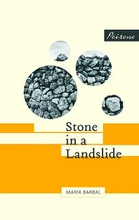 Barbal |  Stone in a Landslide | eBook | Sack Fachmedien