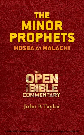Taylor |  Minor Prophets | eBook | Sack Fachmedien
