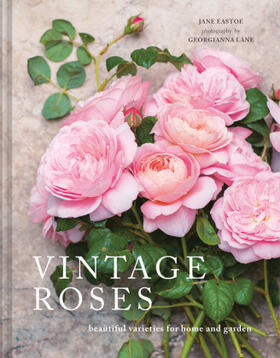Eastoe |  Vintage Roses | Buch |  Sack Fachmedien