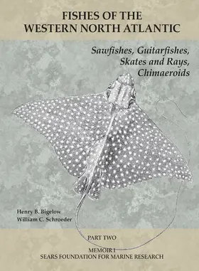 Bigelow / Schroeder |  Sawfishes, Guitarfishes, Skates and Rays, Chimaeroids | eBook | Sack Fachmedien