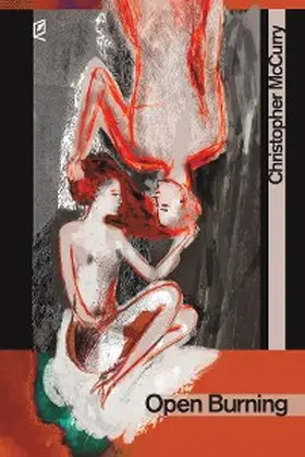 Mccurry |  Open Burning | eBook | Sack Fachmedien