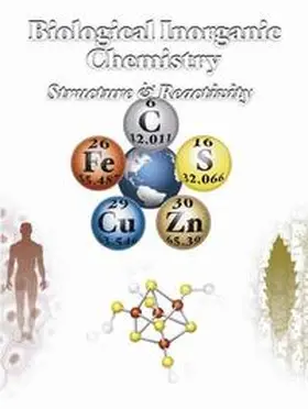 Bertini / Gray / Stiefel |  Biological Inorganic Chemistry | Buch |  Sack Fachmedien