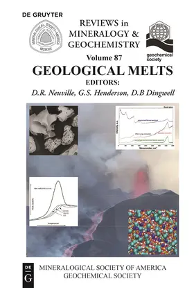 Neuville / Henderson / Dingwell |  Geological Melts | Buch |  Sack Fachmedien