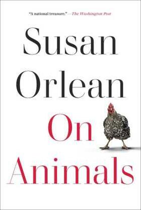 Orlean |  On Animals | Buch |  Sack Fachmedien