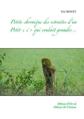 Benoit |  Petite chronique des retraites d'un Petit «é» qui voulait grandir... | eBook | Sack Fachmedien